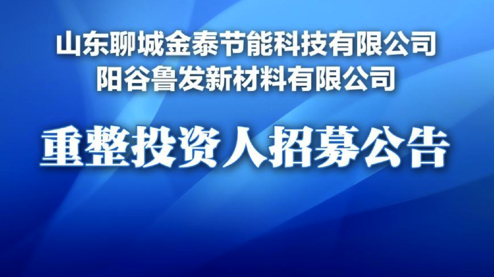 聊城節(jié)能科技、新材料公司重整招商